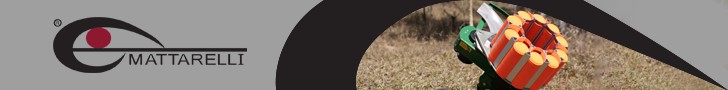 Mattarelli